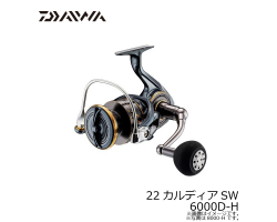 Daiwa 22 Caldia SW 6000D-H