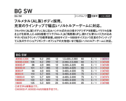 Daiwa 23 BG SW 6000D-P