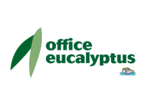 Office eucalyptus