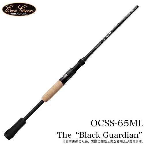 Evergreen Orion OCSS-65ML (2023)