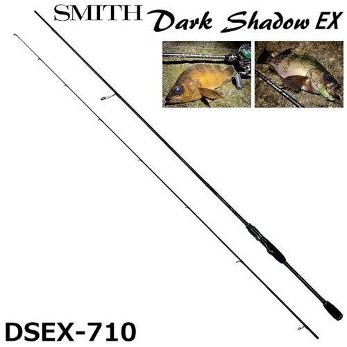 Smith Dark Shadow EX  DSEX-710