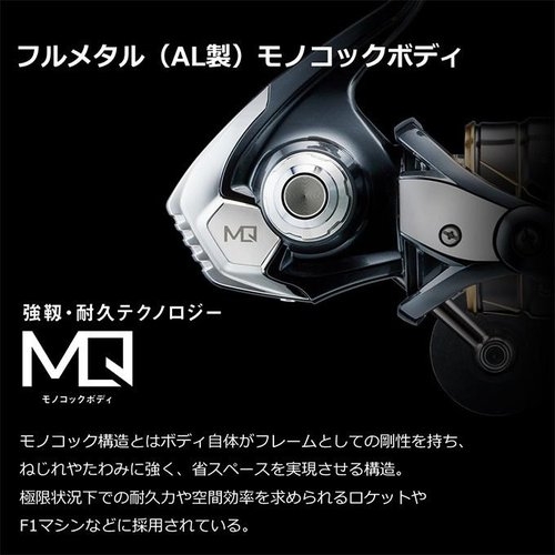 Daiwa 22 Caldia  SW 4000D-CXH