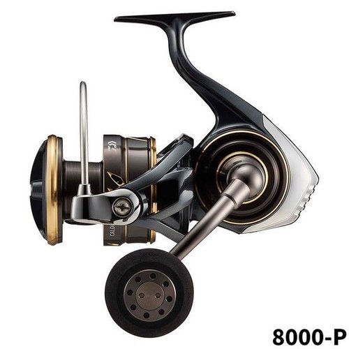 Daiwa 22 Caldia SW 8000-P