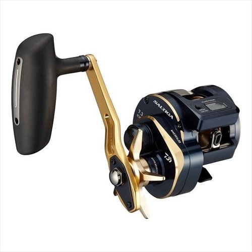 Daiwa Saltiga IC 300H-SJ (2021)