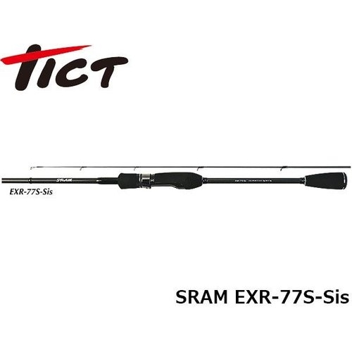 TICT SRAM EXR-77S-Sis