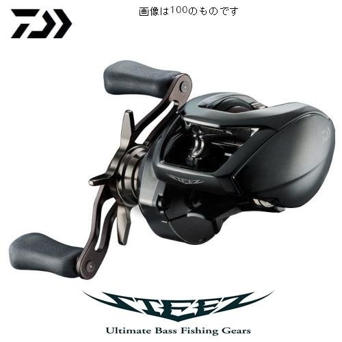Daiwa 24 Steez SV TW 100XH