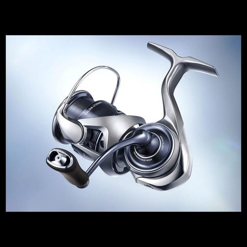 Daiwa 25 Caldia LT4000-C