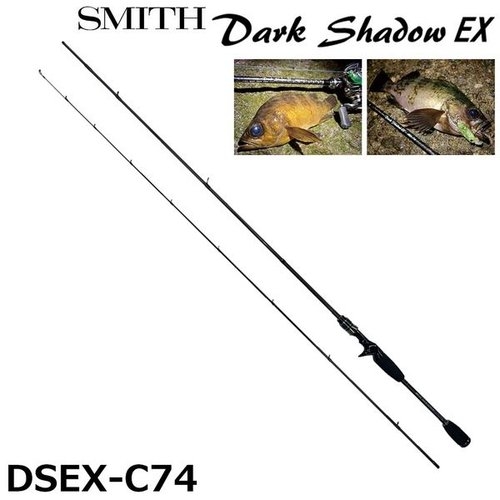 Smith Dark Shadow EX  DSEX-C74