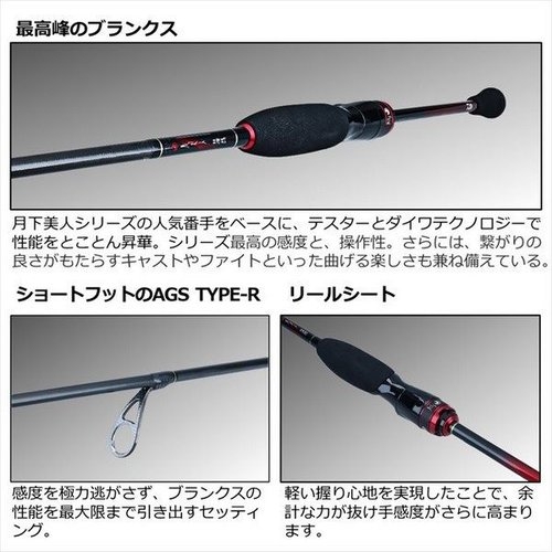 Daiwa 22  Gekkabijin EX AGS 66L-S・Q