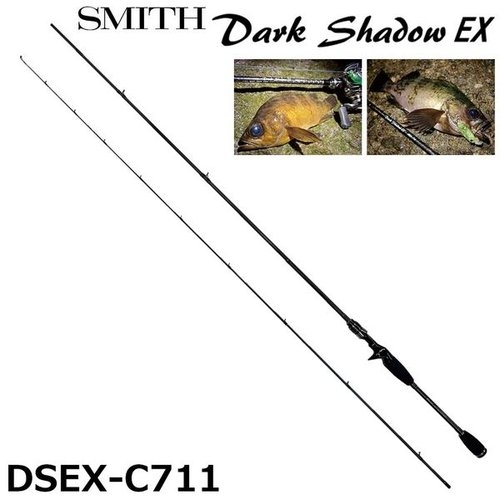 Smith Dark Shadow EX  DSEX-C711