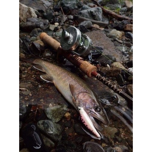 Fenwick FS53CL-3J "Undercut Bank"