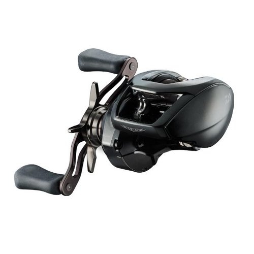 Daiwa 24 Steez SV TW 100H