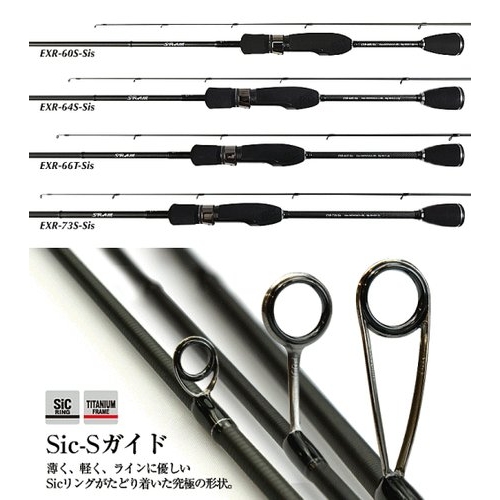 TICT  SRAM EXR-73S-Sis