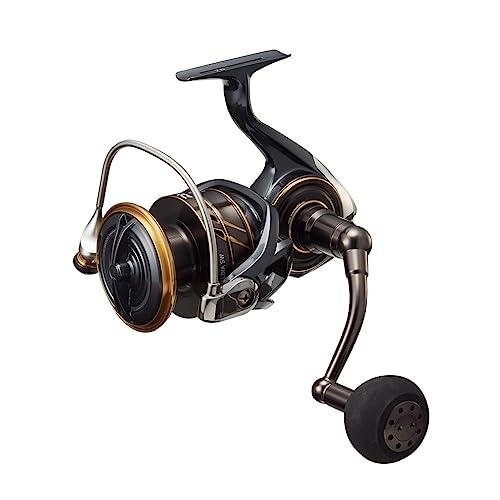 Daiwa 22 Caldia SW 10000-P