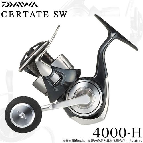 Daiwa 24 Certate SW 4000-H