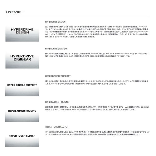 Daiwa 23 Steez A II TW 1000XHL