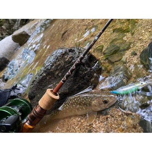 Fenwick FS53CL-3J "Undercut Bank"