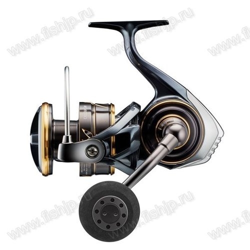 Daiwa 22 Caldia SW 8000-P