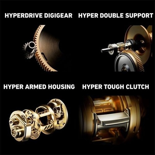 Daiwa 21 Basara IC 250PL