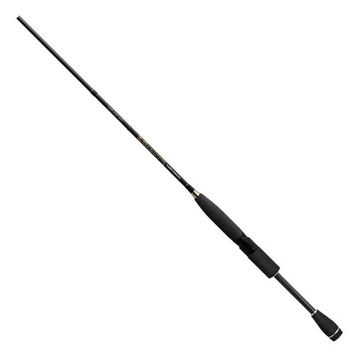 Evergreen Phase PCSS-65L+