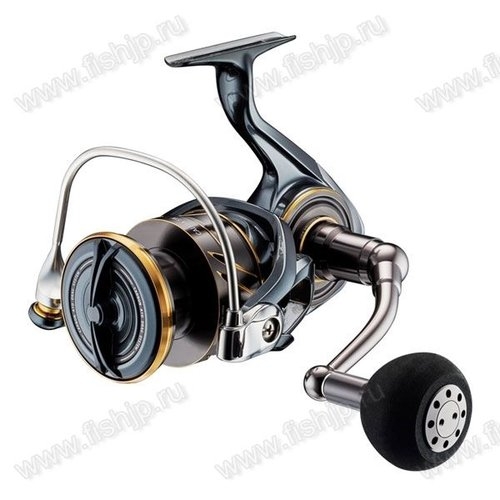Daiwa 22 Caldia SW 8000-P
