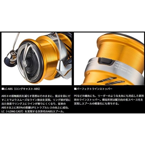 Daiwa 20 Revros LT6000D-H