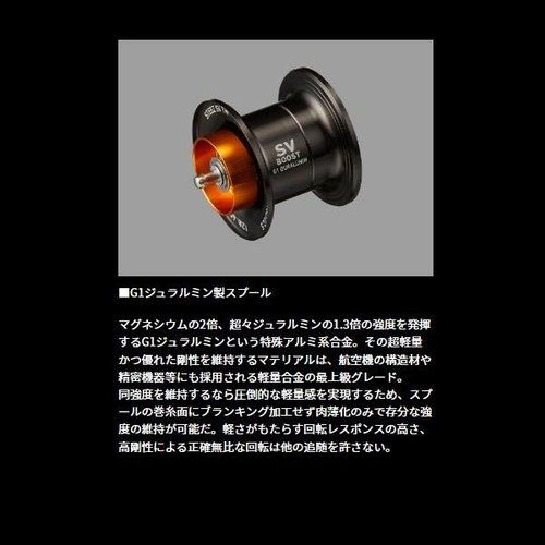 Daiwa 24 Steez SV TW 100H