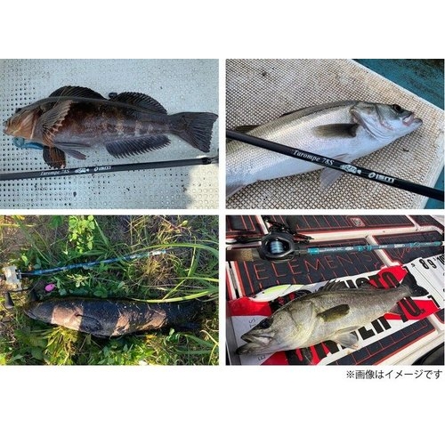 TULALA×ISM Tarompe 86C