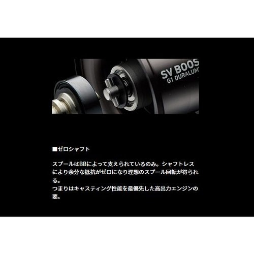 Daiwa 24 Steez SV TW 100H