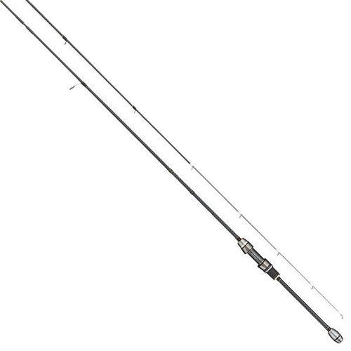 Tailwalk AJIST TZ S66/SL