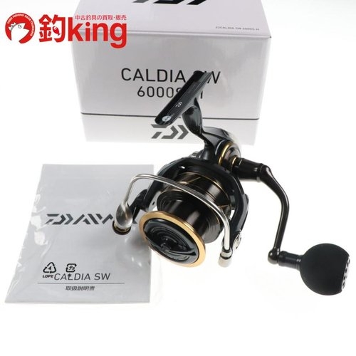 Daiwa Caldia SW 6000S-H /D100M (2022)