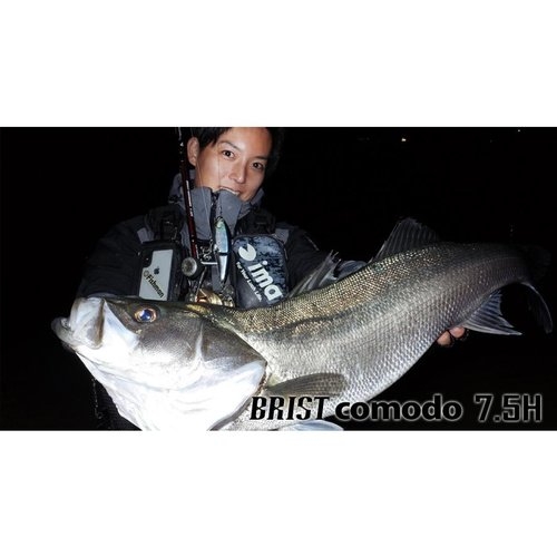 Fishman Brist Comodo 7.5H