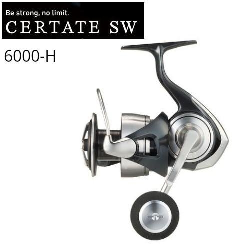 Daiwa 24 Certate SW 6000-H