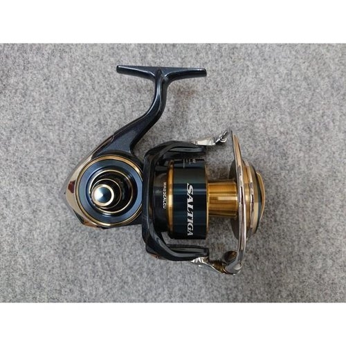 Daiwa 20 Saltiga 10000-P