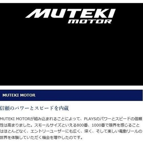 Shimano 17 Plays 1000