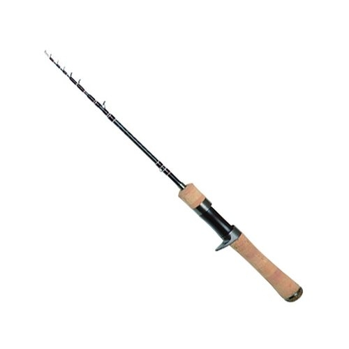 Jackson Kawasemi Rhapsody KWSM-C47L-T