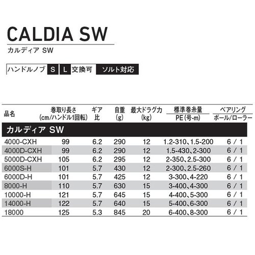 Daiwa 22 Caldia SW 18000