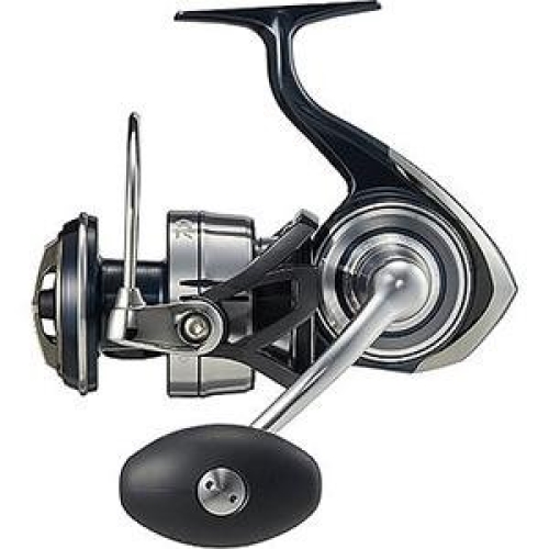 Daiwa 21 Certate SW 8000-H