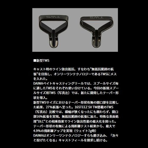 Daiwa 24 Steez SV TW 100H