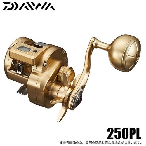 Daiwa 21 Basara IC 250PL