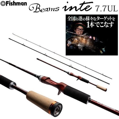 Fishman Beams inte 7.7UL