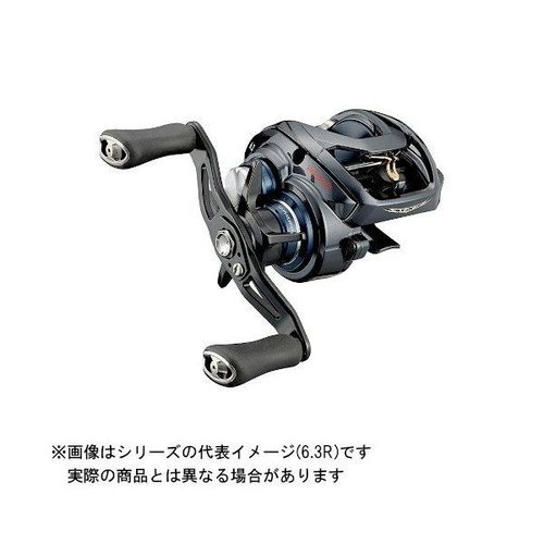 Daiwa 21  STEEZ A TW HLC 8.1R