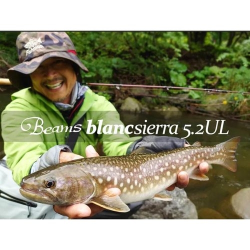 Fishman Beams Blancsierra 5.2UL
