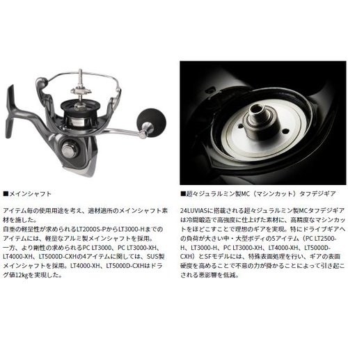 Daiwa 24 Airity SF2000SS-H