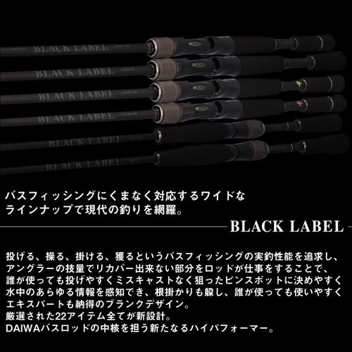 Daiwa 25 Black Label S64UL-2