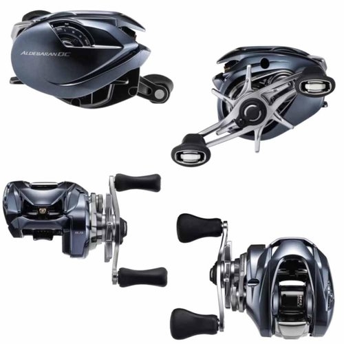 Shimano 25 Aldebaran DC 31XG