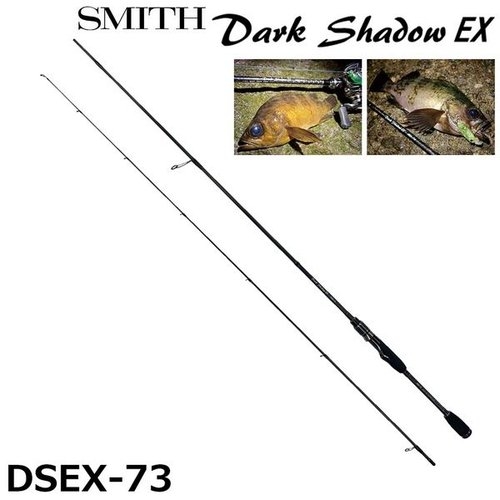 Smith Dark Shadow EX DSEX-73