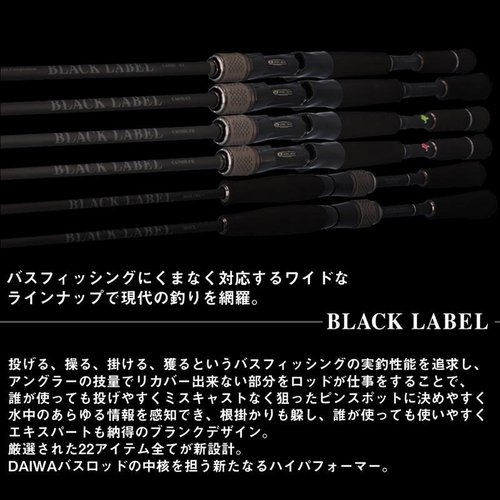 Daiwa 25 Black Label SC S64L-2・ST