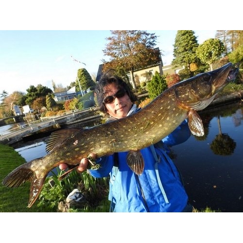 Tulala Portamento 200B