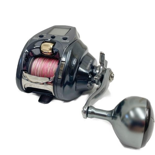 Daiwa SEABORG 21 300J (2021)